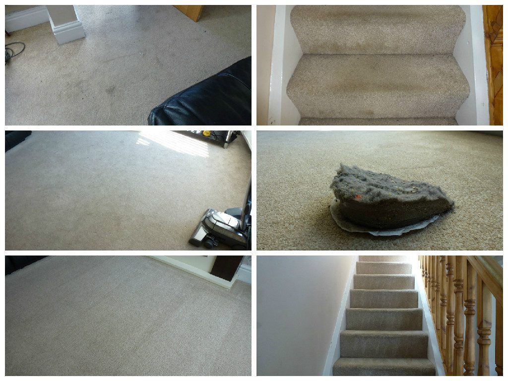 Stairs and Living Room Carpet Clean