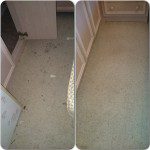 Before and After carpet clean