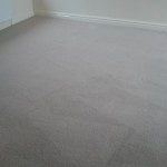 Low Moisture Lounge Carpet Clean