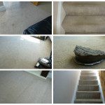 Stairs and Living Room Carpet Clean
